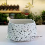 Chậu tròn vuông