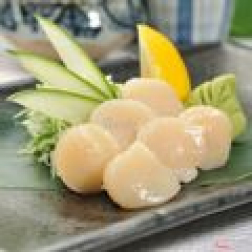 Sashimi Sò Điệp Size 6