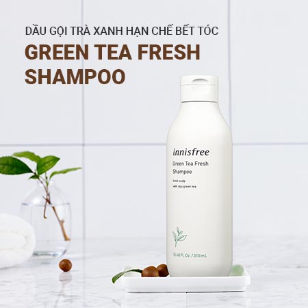 Dầu gội trà xanh innisfree Green Tea Fresh Shampoo hạn chế bết tóc 300ml