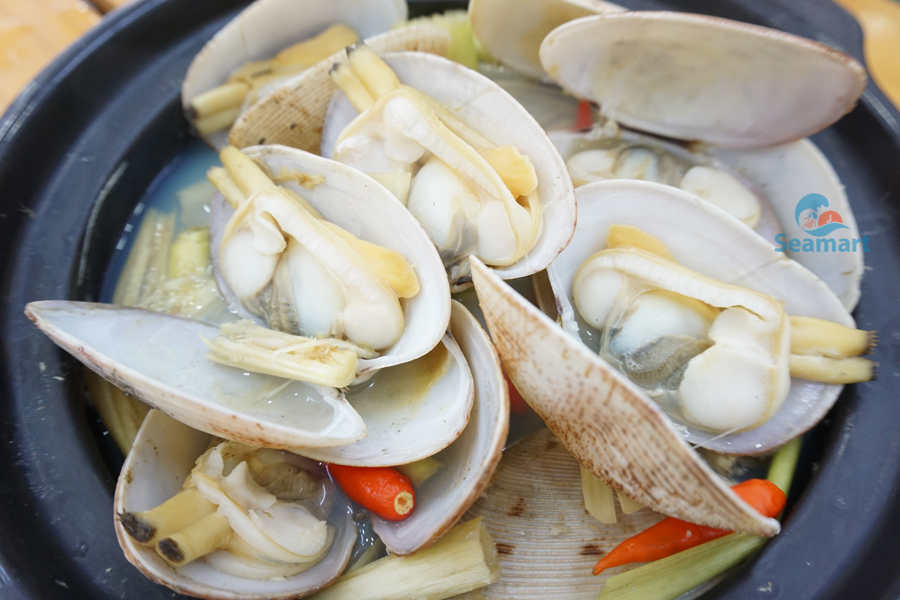 Ngao 2 cồi