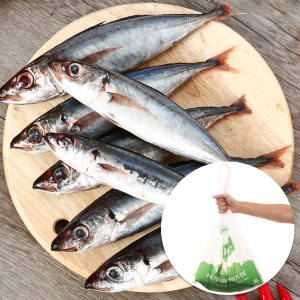 Cá nục nguyên con đông lạnh 1kg