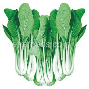 Cải ngọt đà lạt 300g