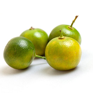 Tắc trái