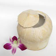 Dừa Xiêm