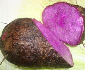 Khoai mỡ 