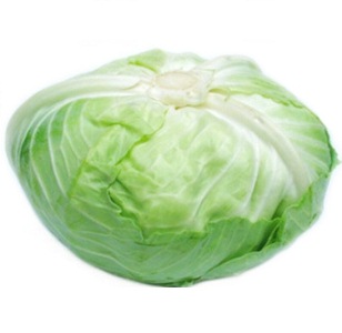 Bắp cải trắng vietgap 1-1.8k