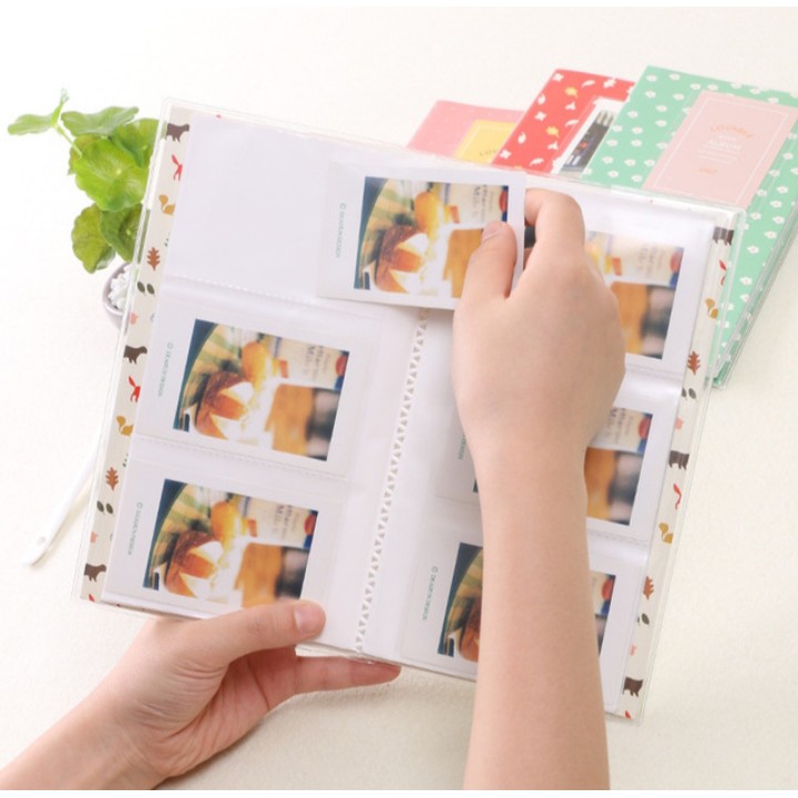 Album 85 ảnh 6x9