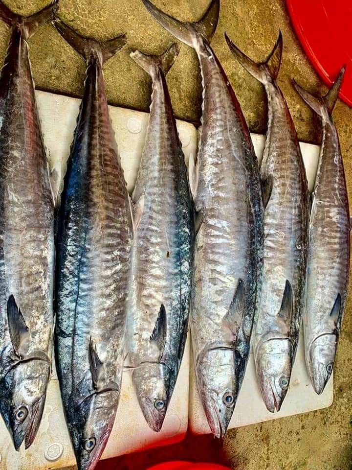 Cá hấp