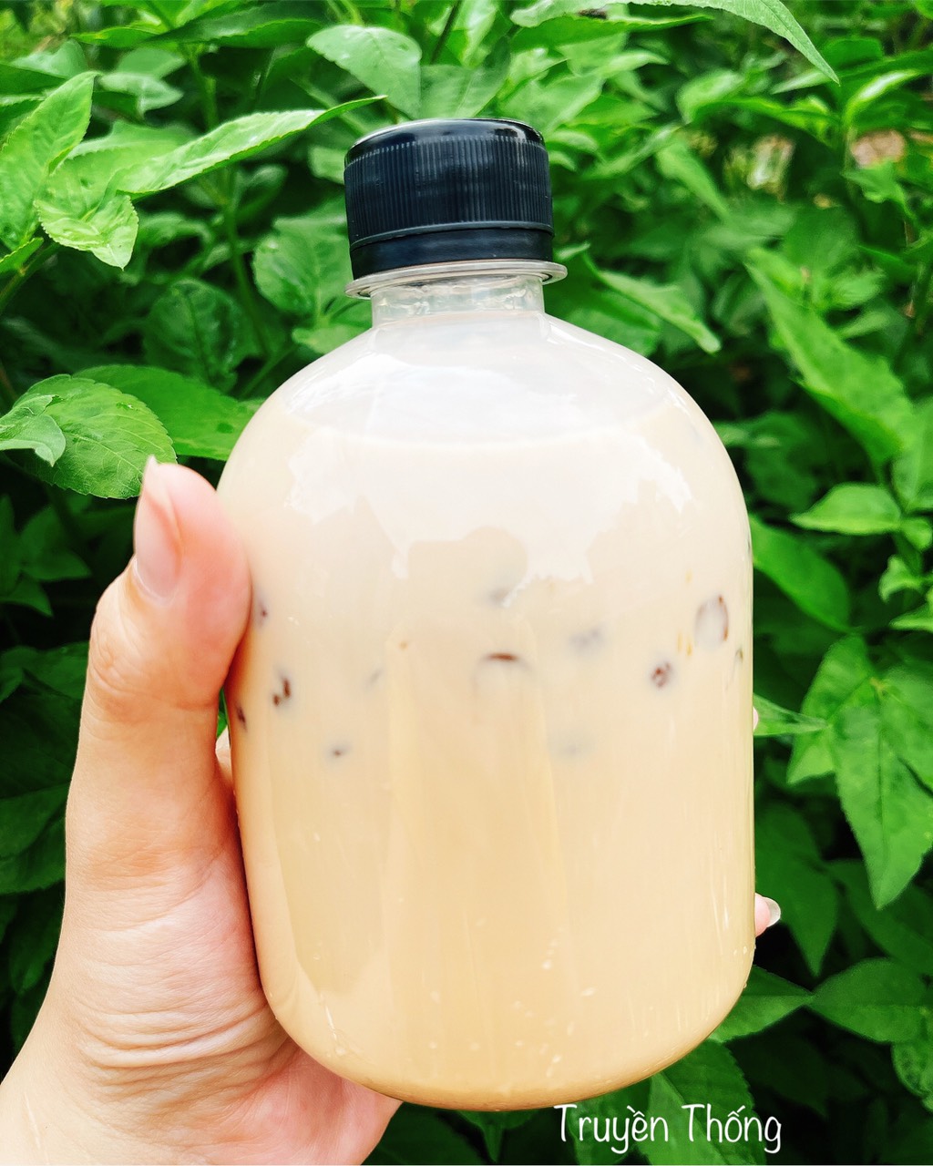 Trà Sữa truyền thống