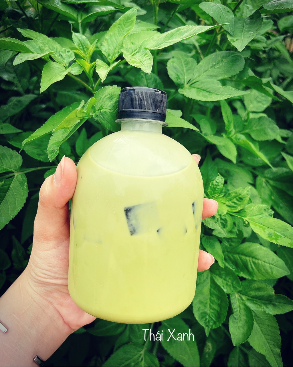 Trà sữa thái xanh