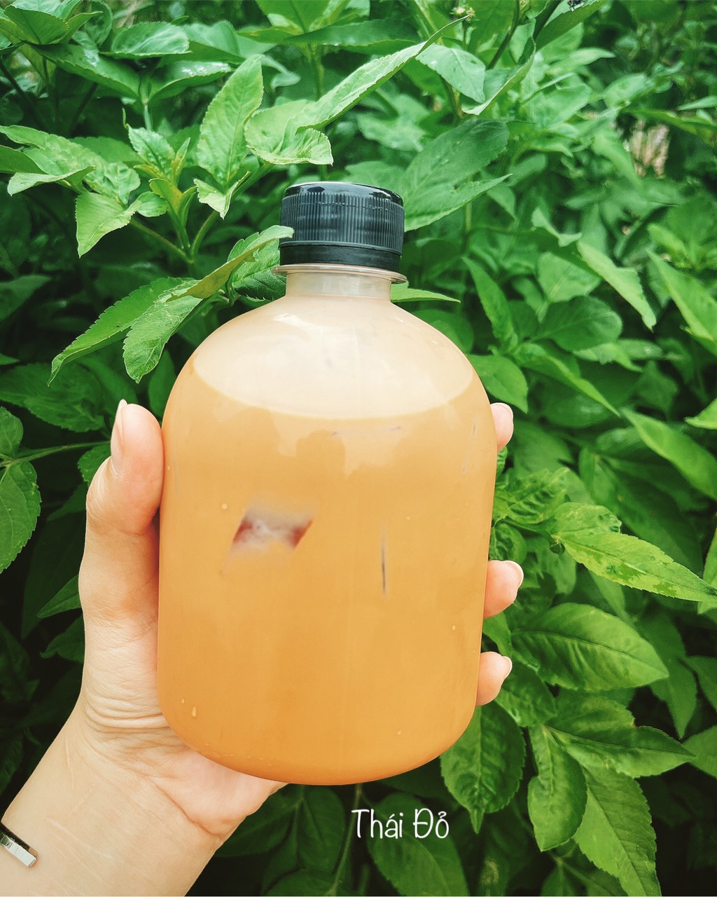 Trà sữa thái đỏ