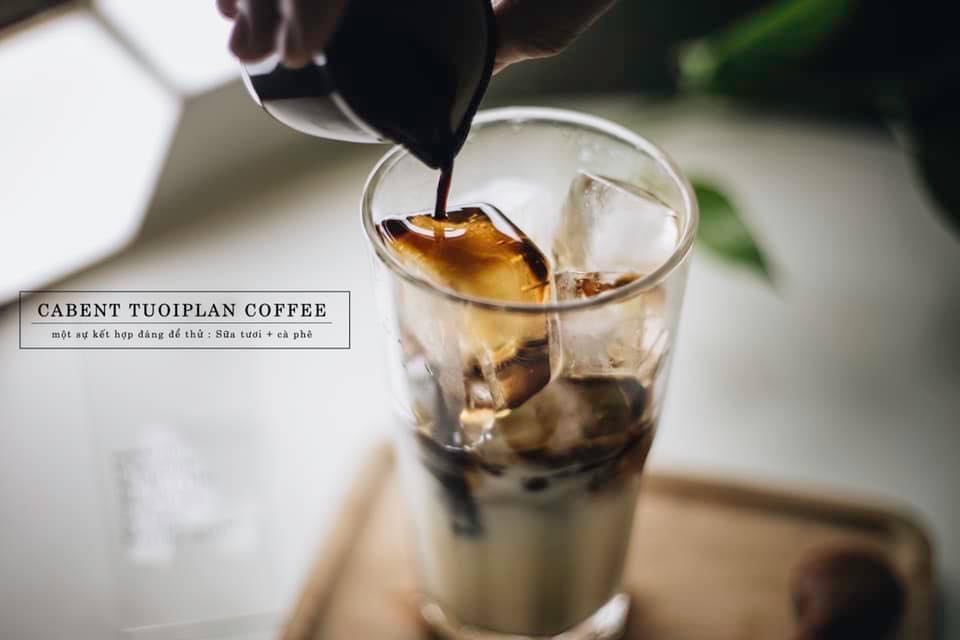 Sữa tươi coffee