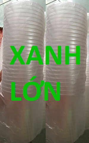 LY XANH LỚN (100 ly)