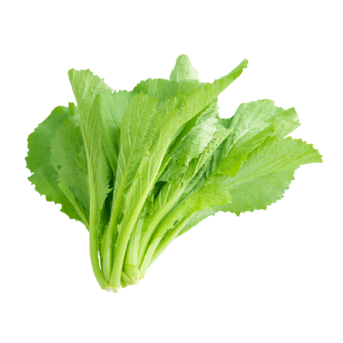 Cải Bẹ Xanh