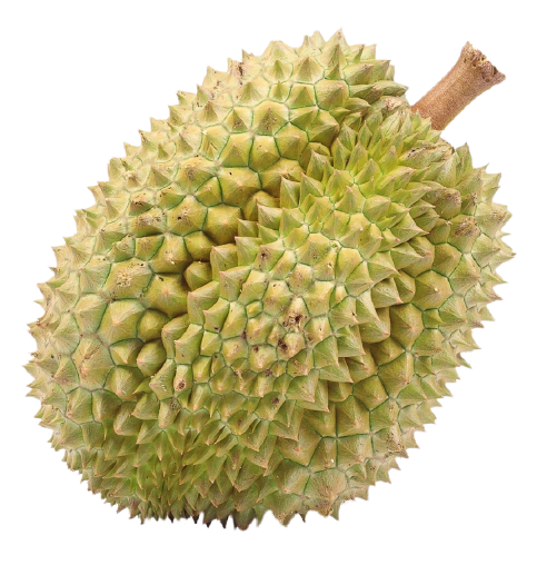Sầu Riêng (1KG)