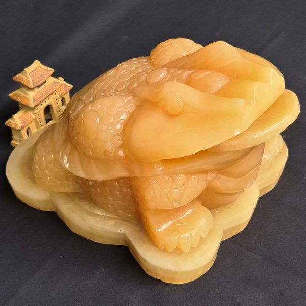Thiềm thừ ngọc Hoàng Long