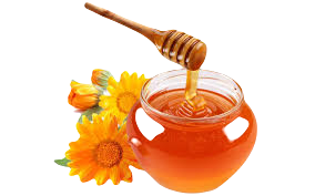 Trà hoa cúc mật ong đá