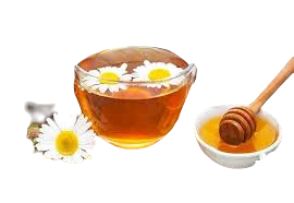 Trà hoa cúc mật ong nóng