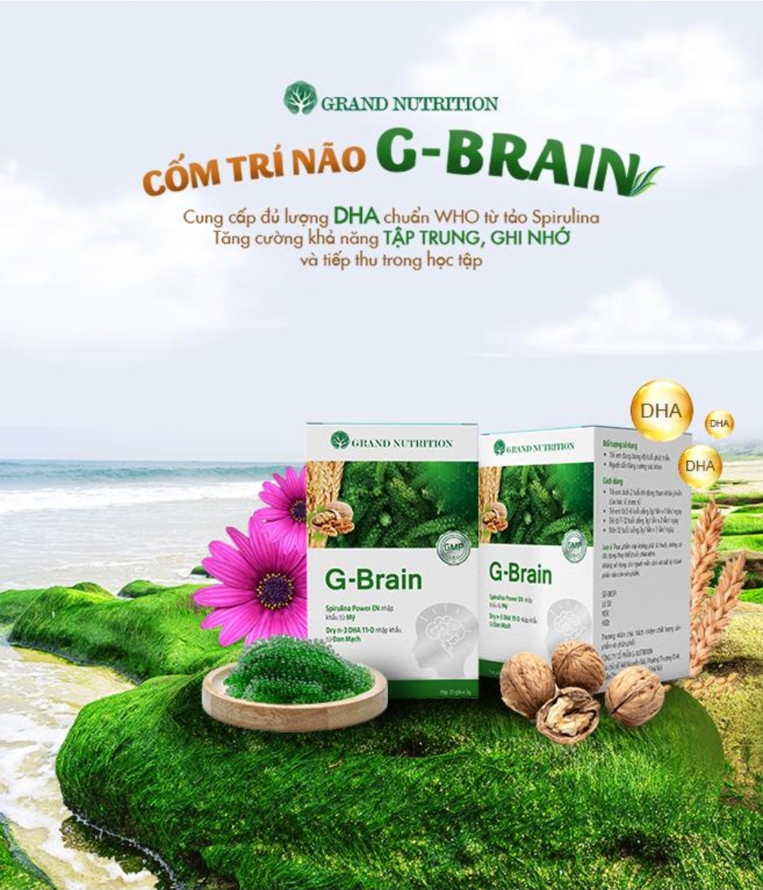 Link - Cốm trí não gbrain (https://ADS000016254.go.scalef.net/c/v3/CON000212468/?source=deeplink_generator&network_id=1&url=https%3A%2F%2Fcomtrinao.gbrain.clix9.com)
