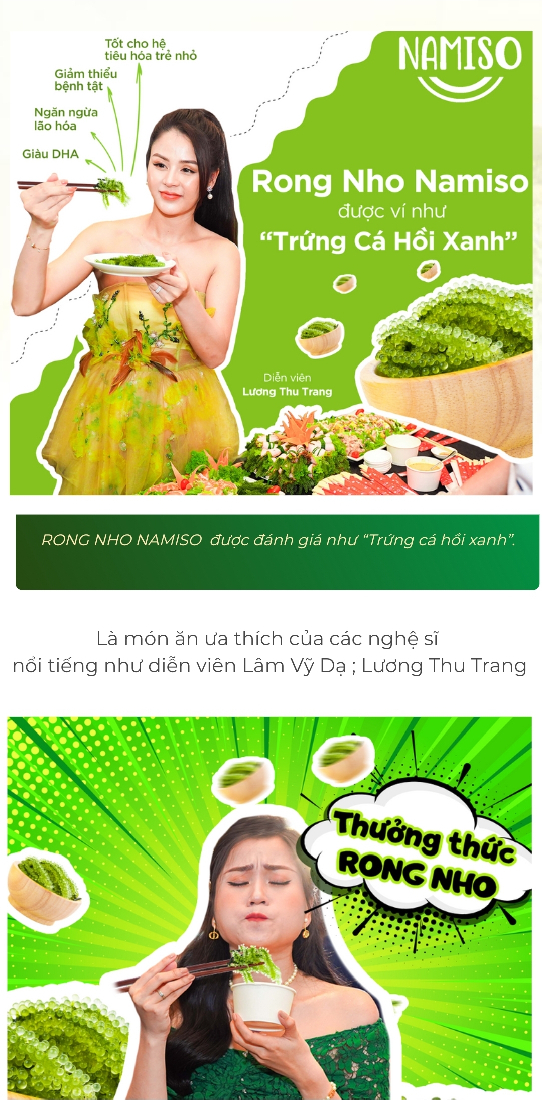 Link - Rong Nho Namiso (https://shorten.asia/7QPdFTes)