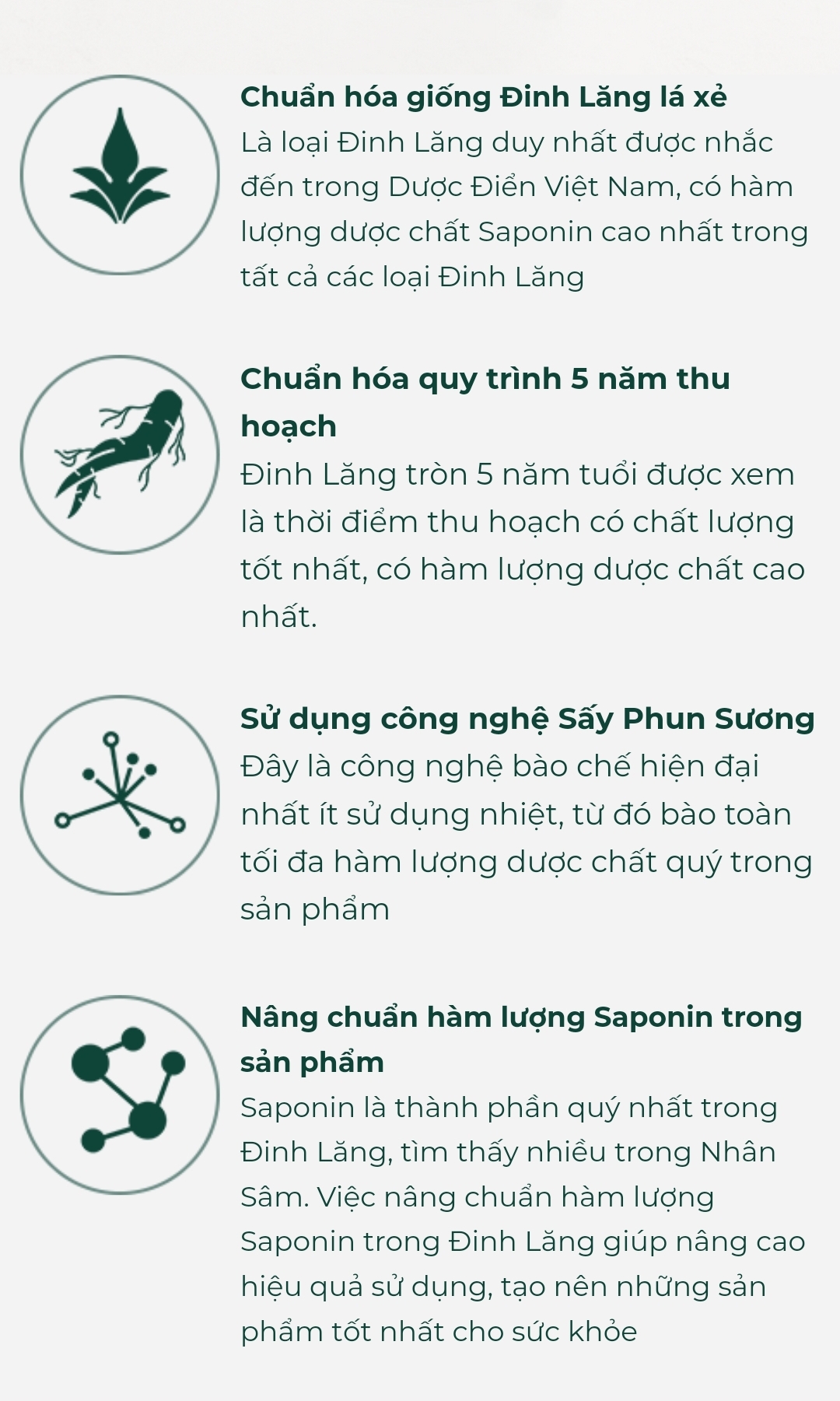 Link - GoldenDila - Sâm Của Người Việt (https://shorten.asia/rpcSU3B2)