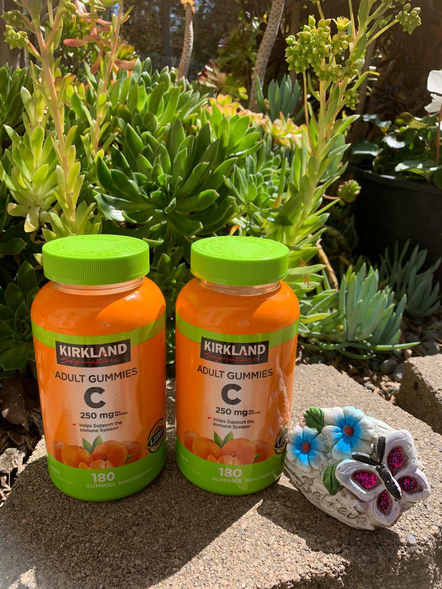 Kẹo Dẻo Bổ Sung Vitamin C Kirkland Adult Gummies C 250mg (180 Viên)