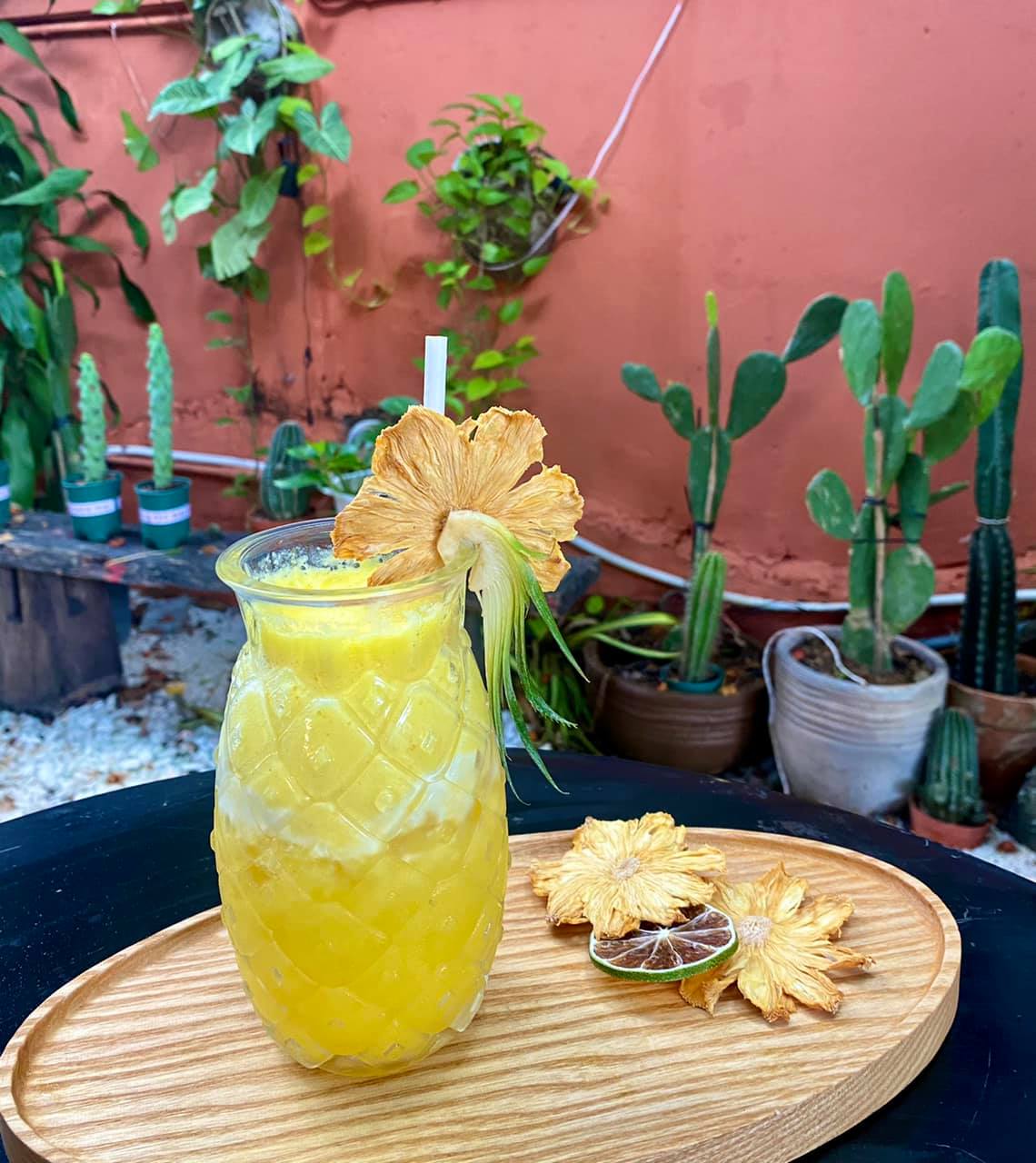 Tropical fruit Coconut