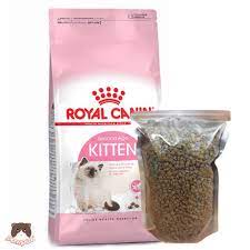 RC - KITTEN 1kg (chiết)
