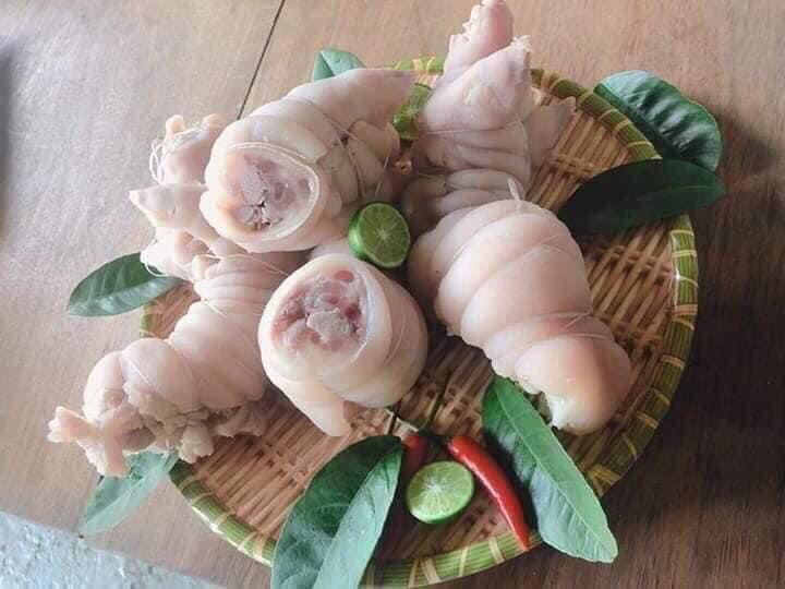 Vó heo