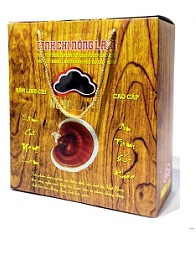 NẤM LINH CHI NÔNG LÂM CAO CẤP 500G