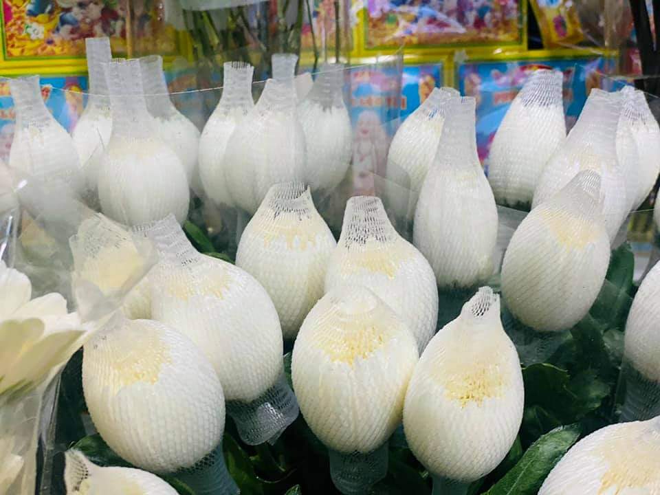 CÚC LƯỚI trắng