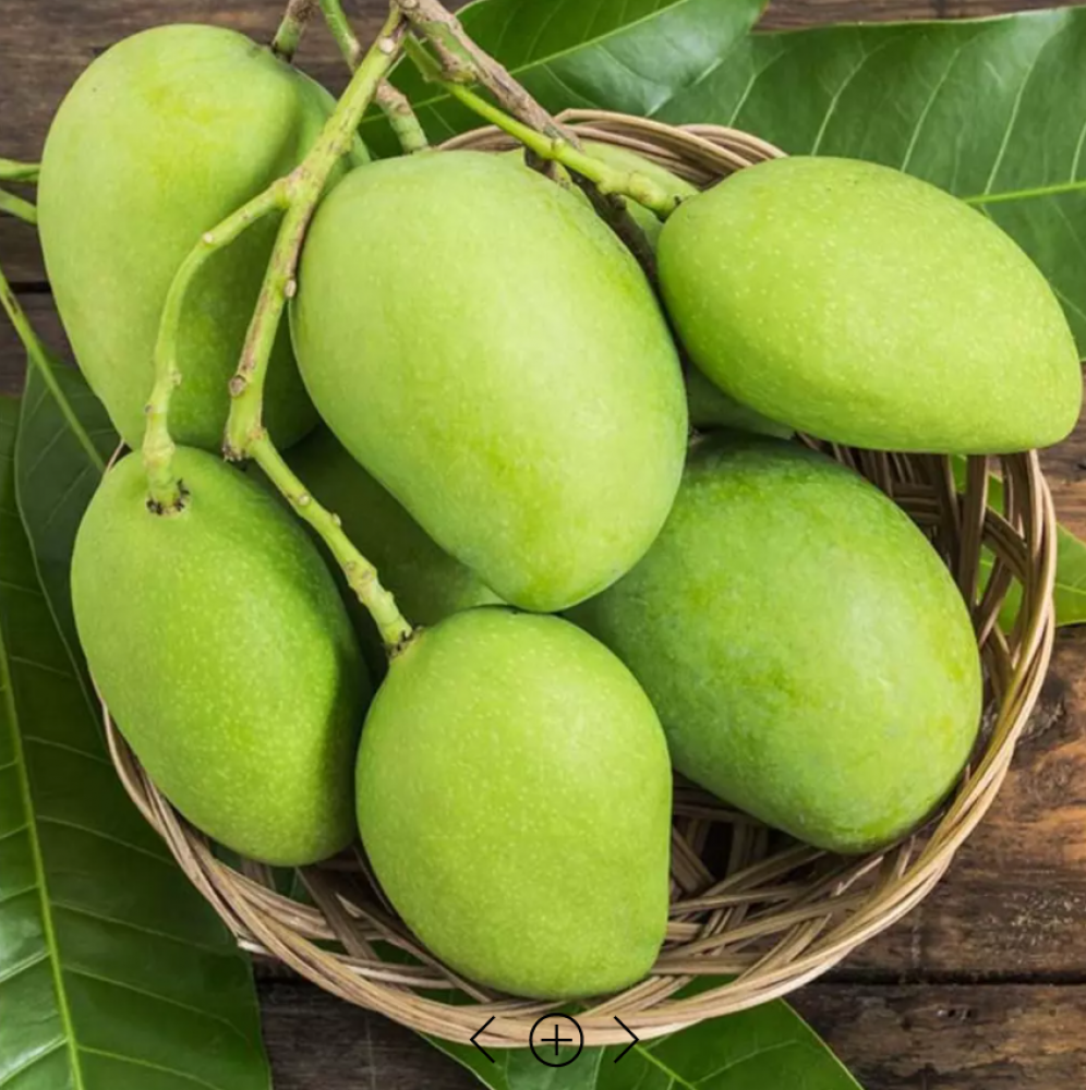 Cây giống Xoài Vàng Tứ Quý