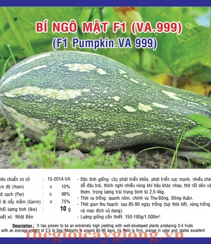 BÍ NGÔ MẬT