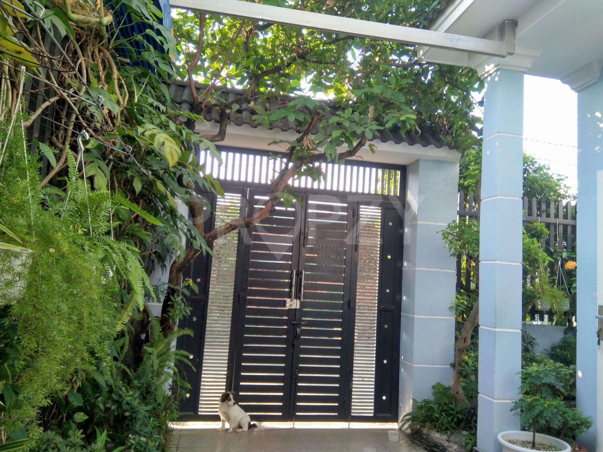 Bán nhà cấp 4 hẻm ô tô 5m