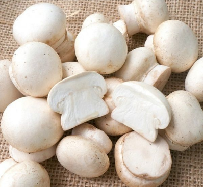 Nấm mỡ trắng hữu cơ