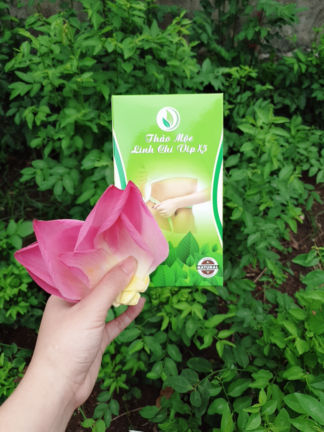 Thảo Mộc Linh Chi Vip x5