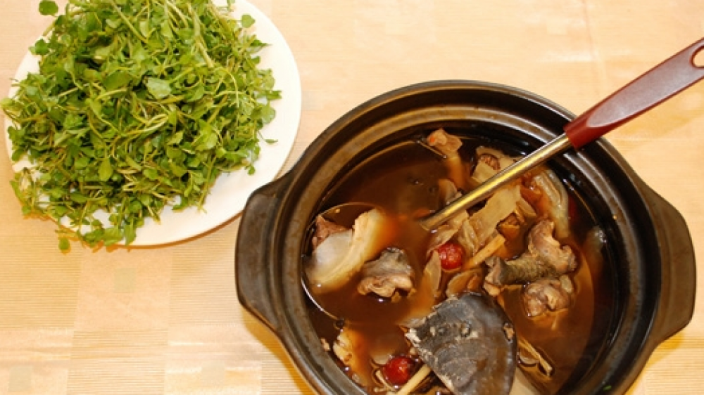 Ba ba tiềm thuốc bắc