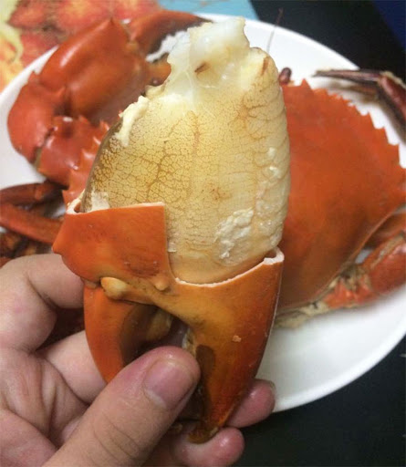 Cua biển hấp nước dừa
