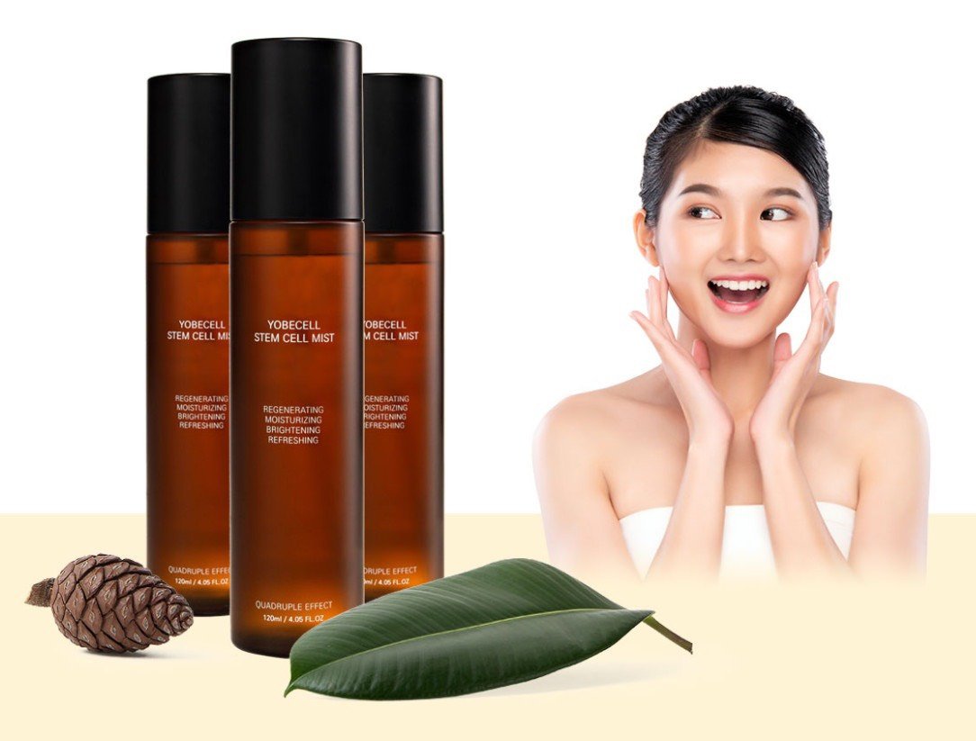 XỊT DƯỠNG TẾ BÀO GỐC