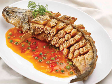 CÁ LÓC CHƯNG TƯƠNG