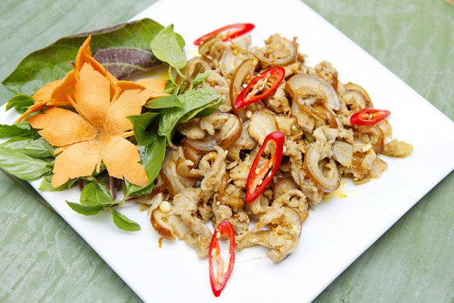 HEO RỪNG XÀO XẢ