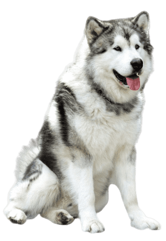 Alaska