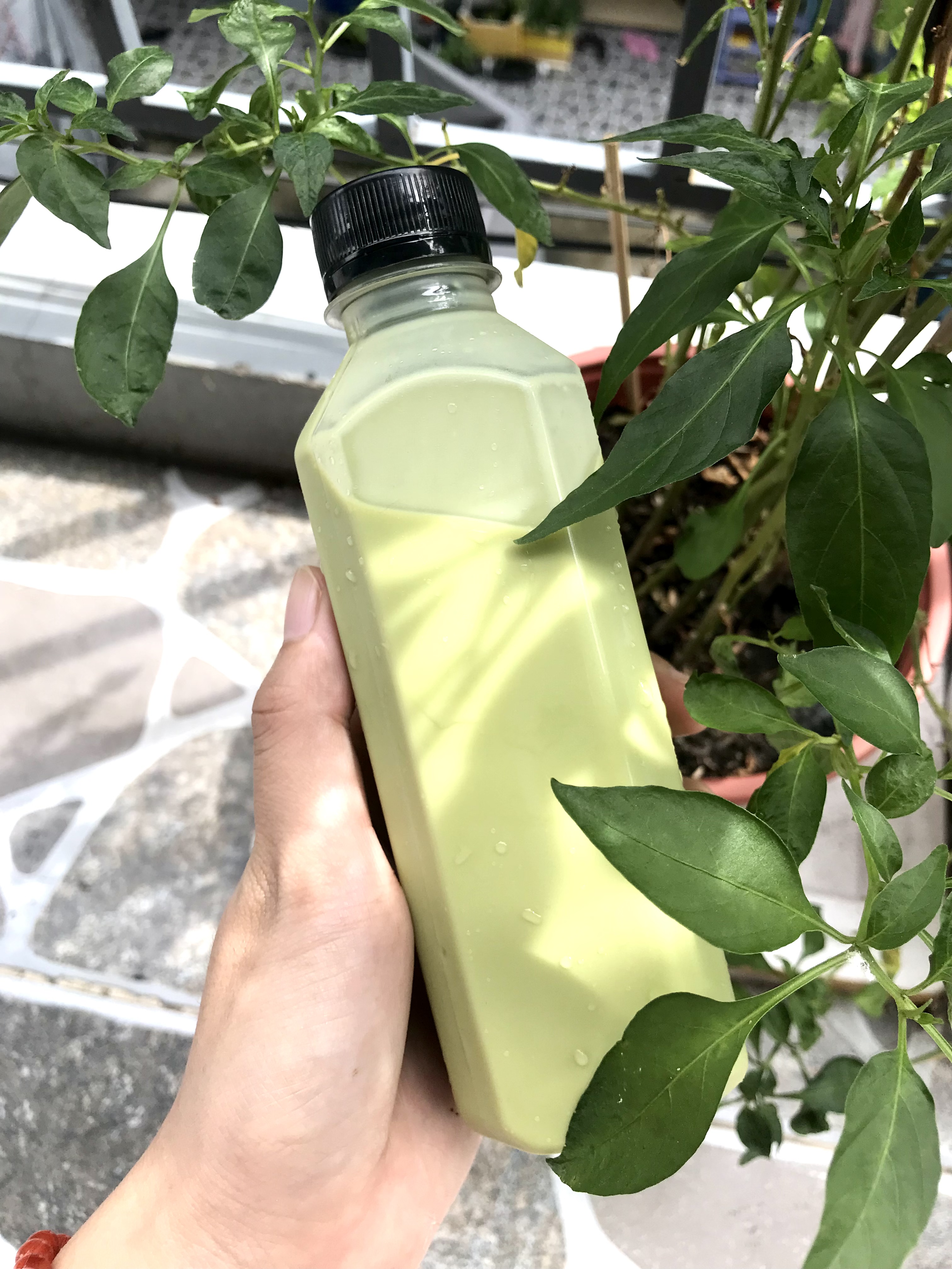 Trà sữa thái xanh