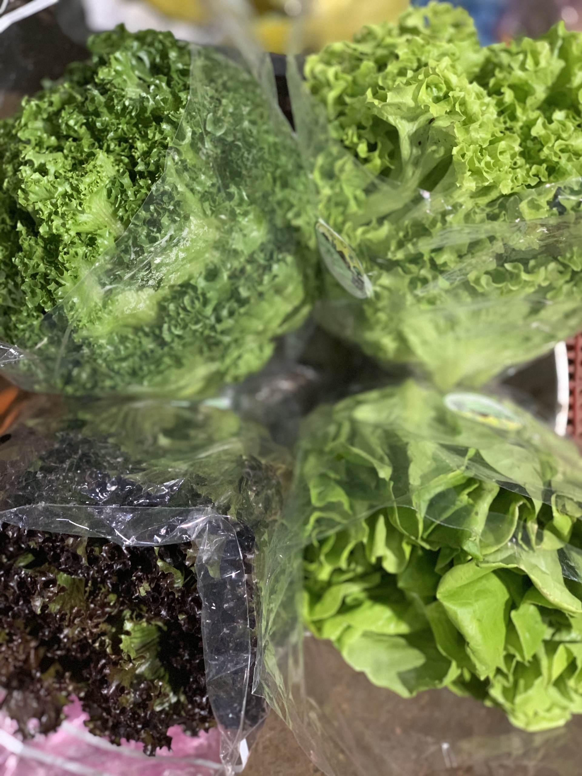 Rau xà lách mỡ 500g