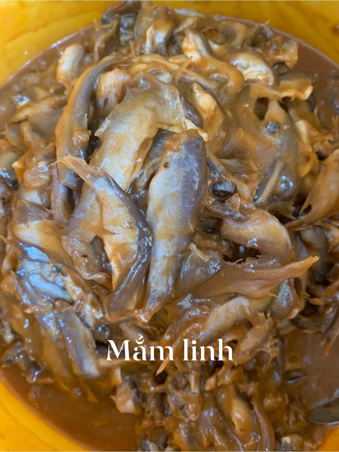 Mắm cá linh