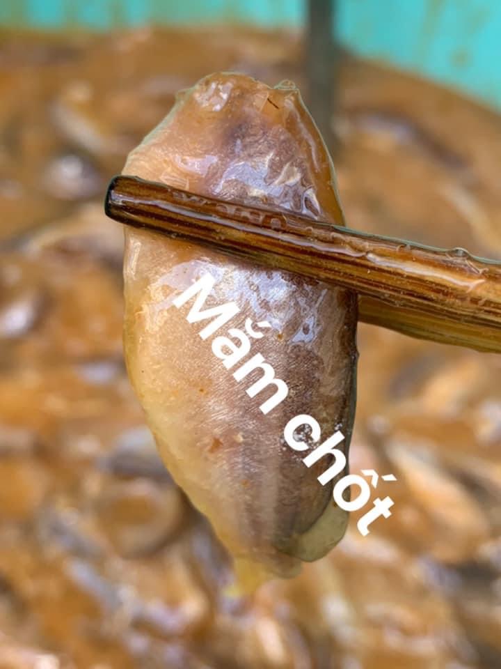Mắm cá chốt