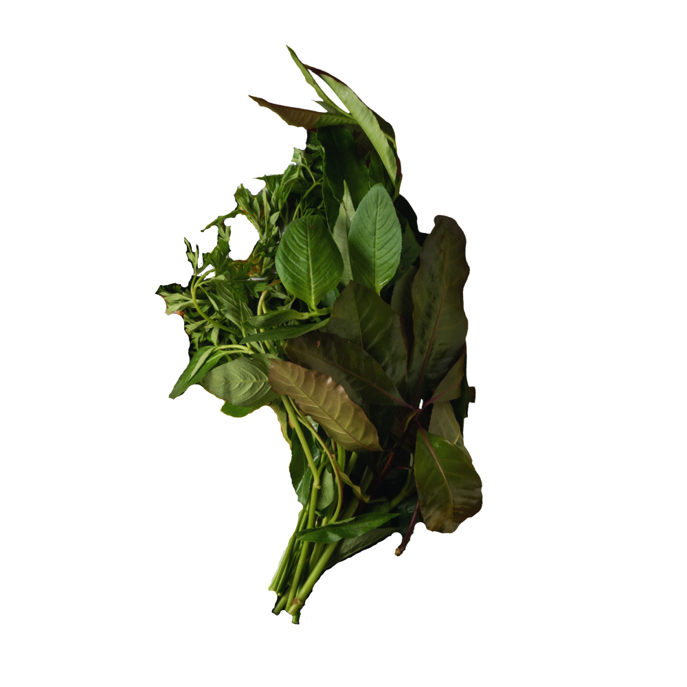 Rau Rừng Thêm