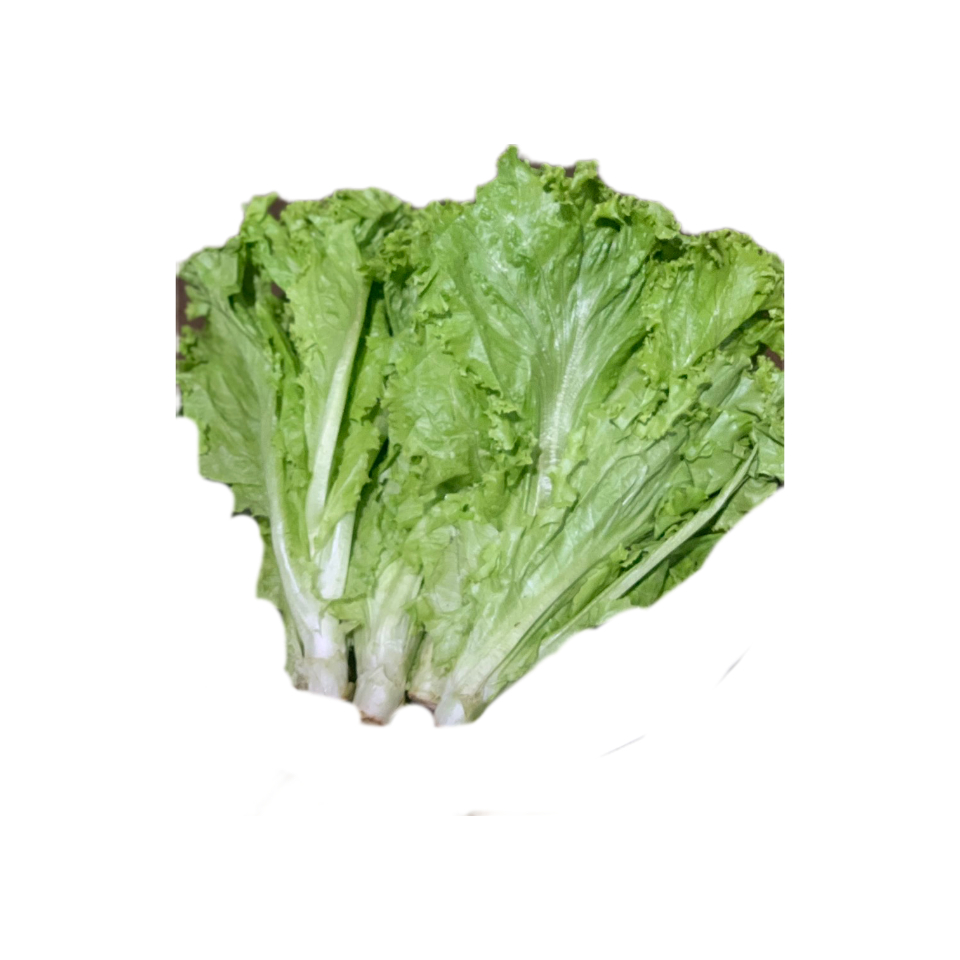 Xà lách lô lô xanh (ria) 500g