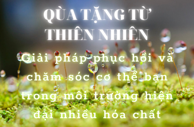 Quà tặng từ thiên nhiên ...