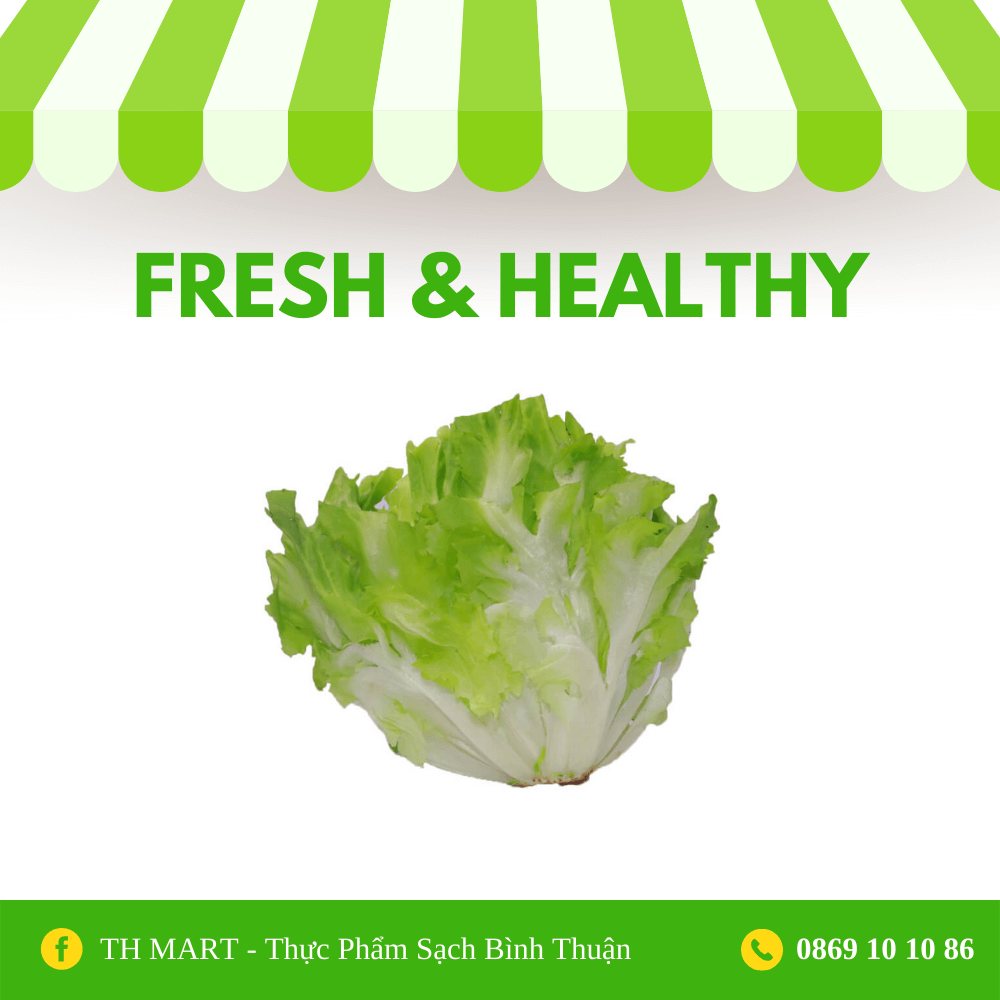 Xà Lách Carol 500g --- 0 --222222